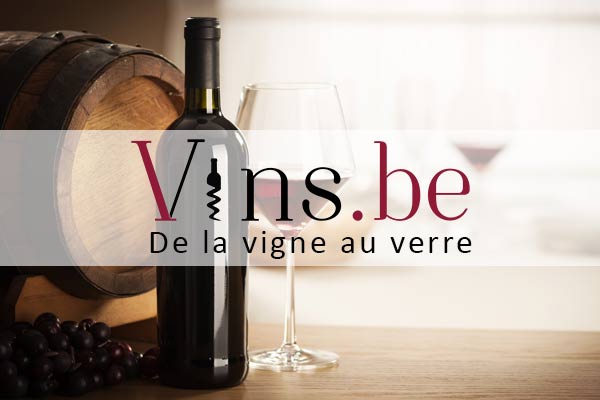 LE BAR A VINS